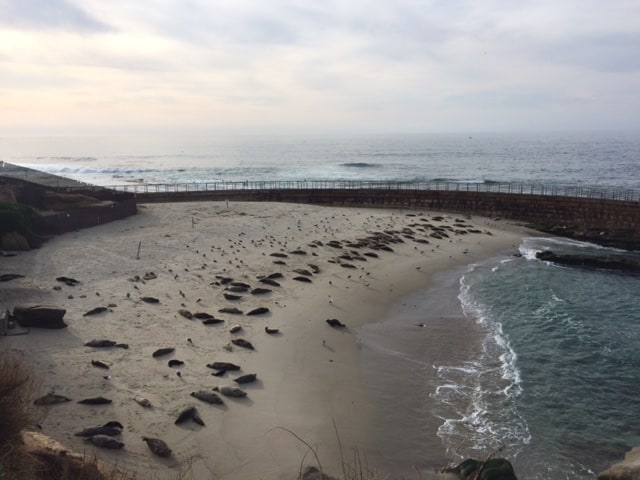 Maxi skirts and seals