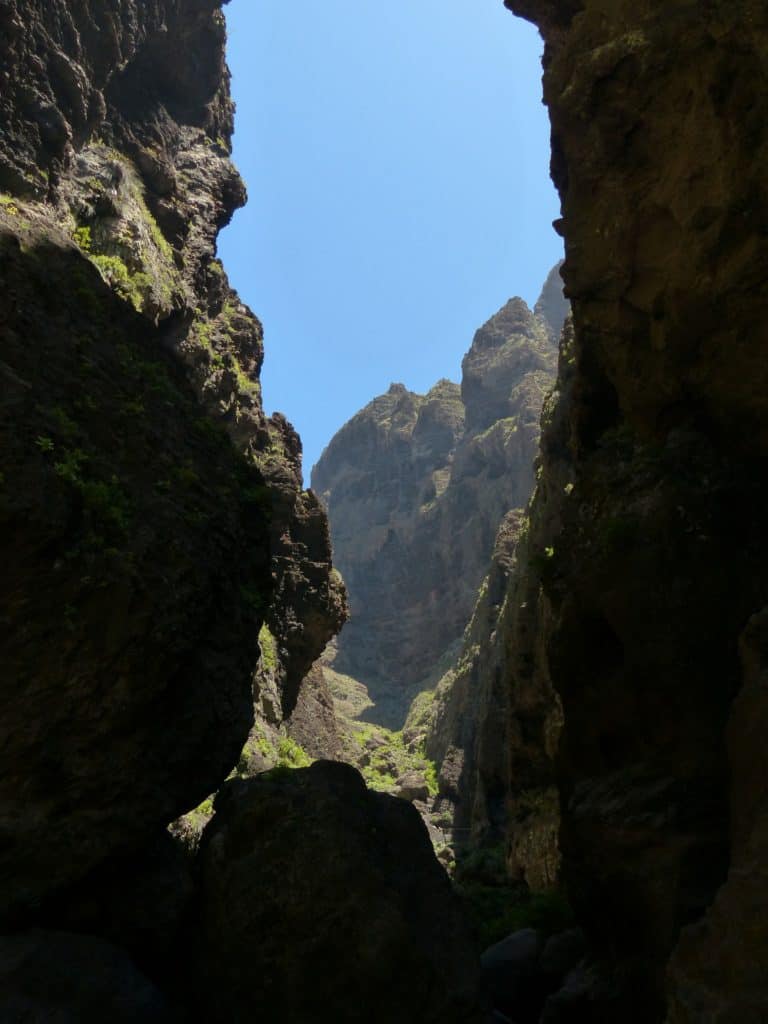 winter sun in tenerife 