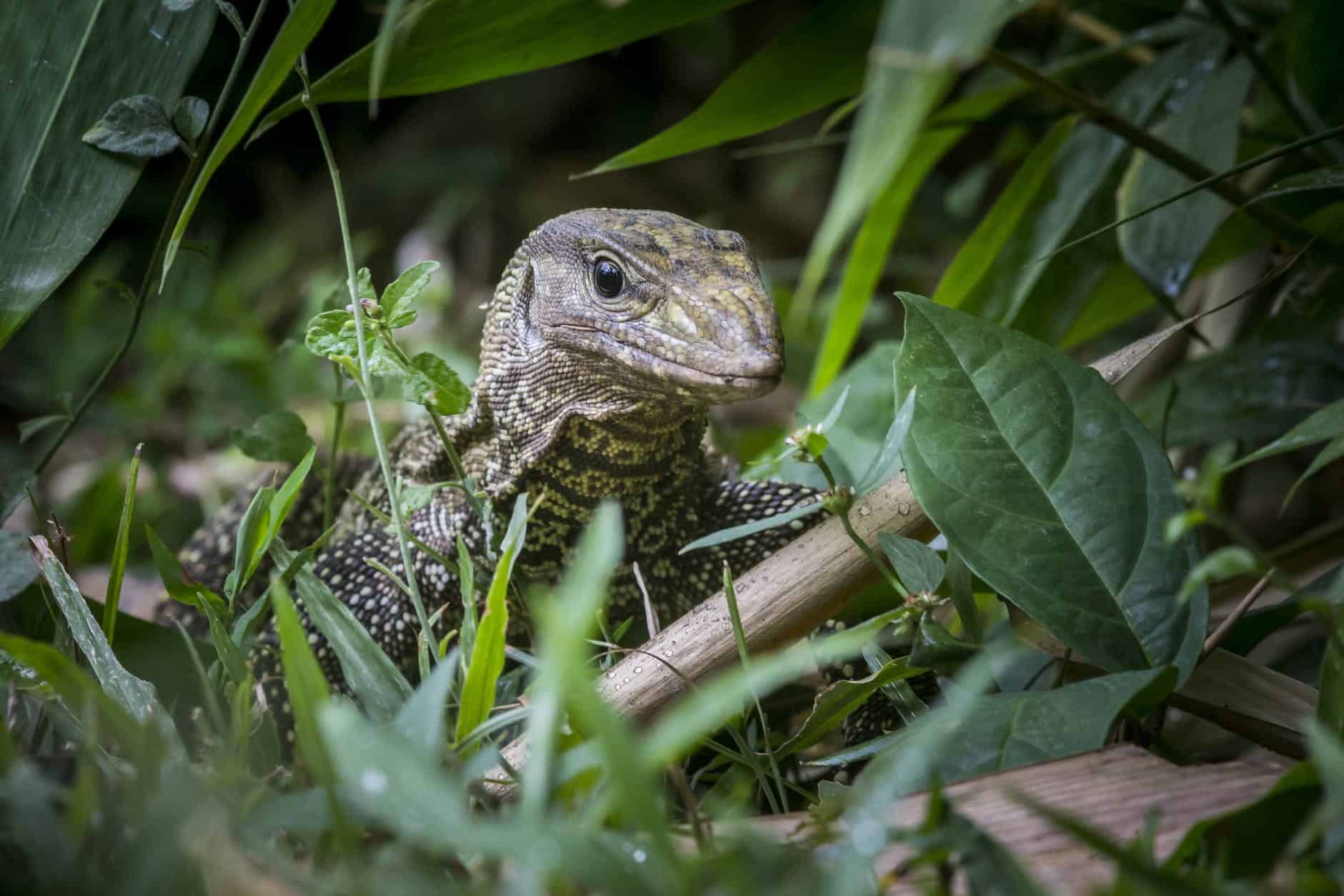 Galapagos Glamping 