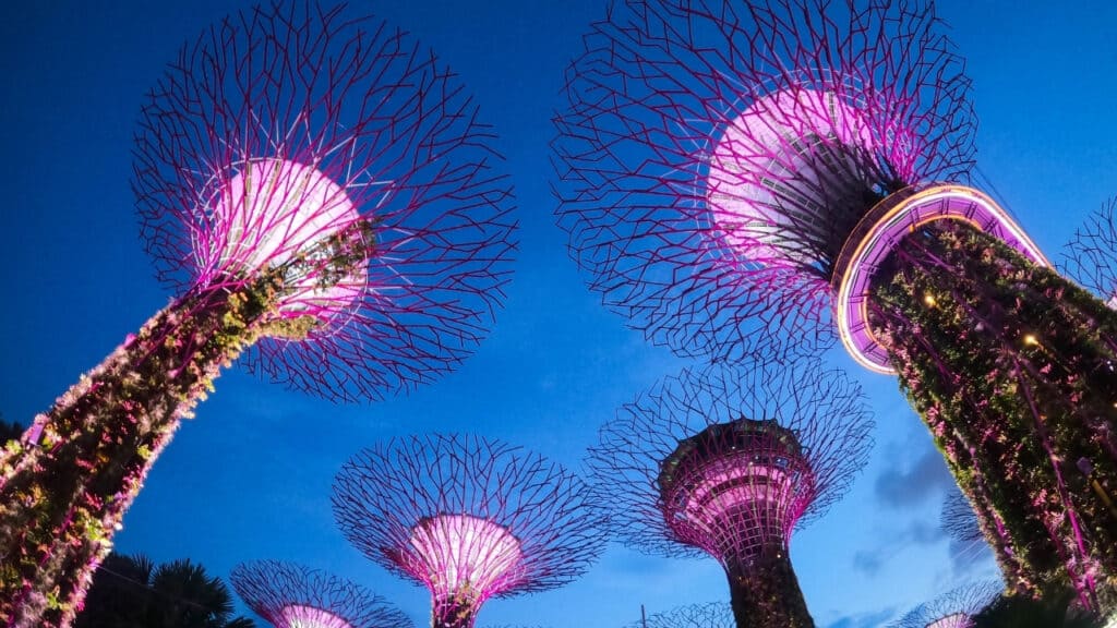 5 Reasons to Visit Singapore 