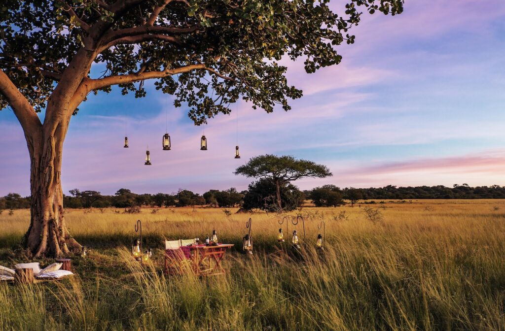 Accommodation, Adventure, and Nature in Tanzania