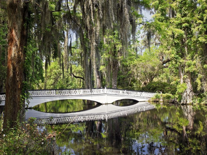 One of the ten best things to do in Charleston is a visit to the Magnolia Plantation