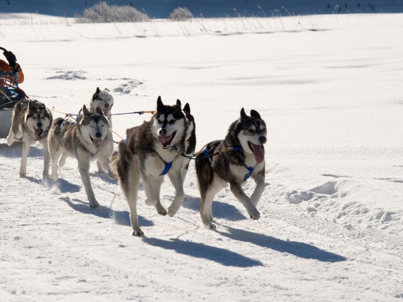 Family Fun on a Winter Holiday