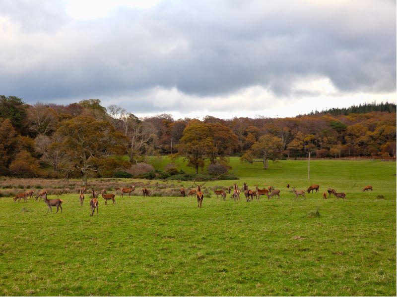 Killarney National Park