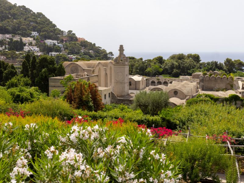 A day in Capri