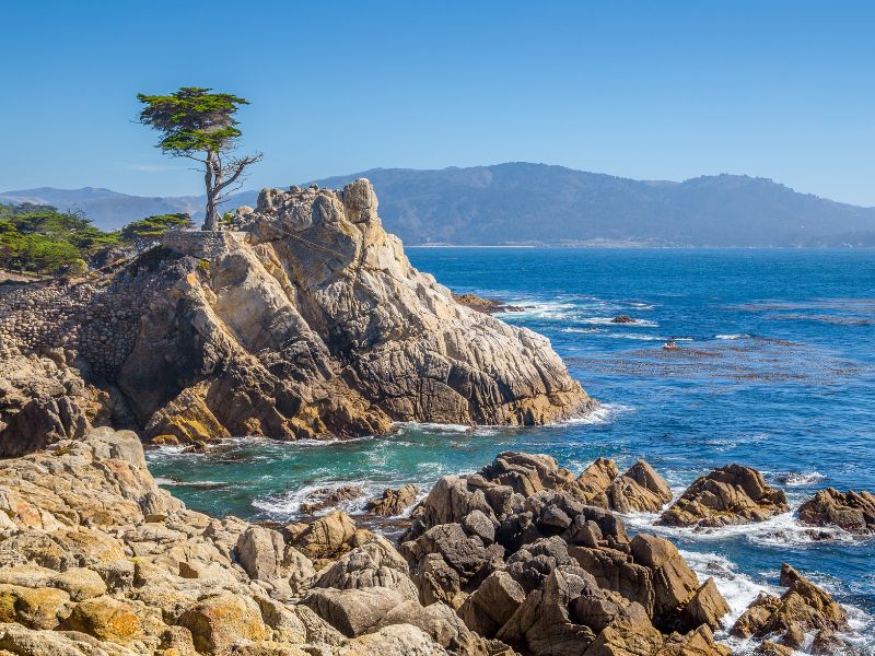 lone Cypress, The Best Places to Visit in May 2024