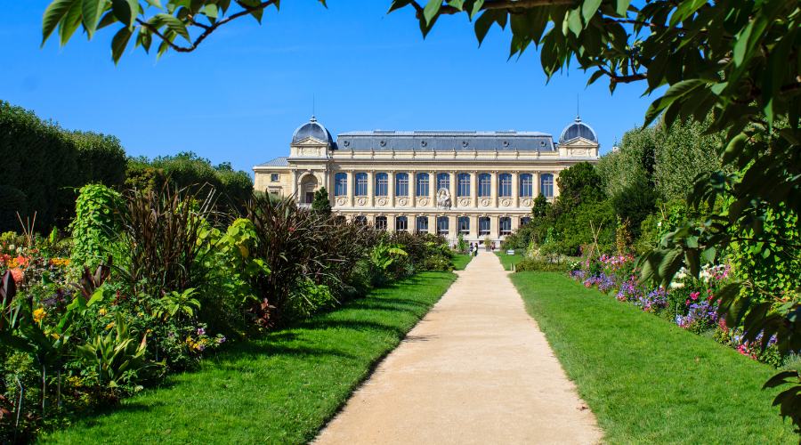 Where to go in Paris to escape the Olympics: ten hidden gems and tranquil retreats