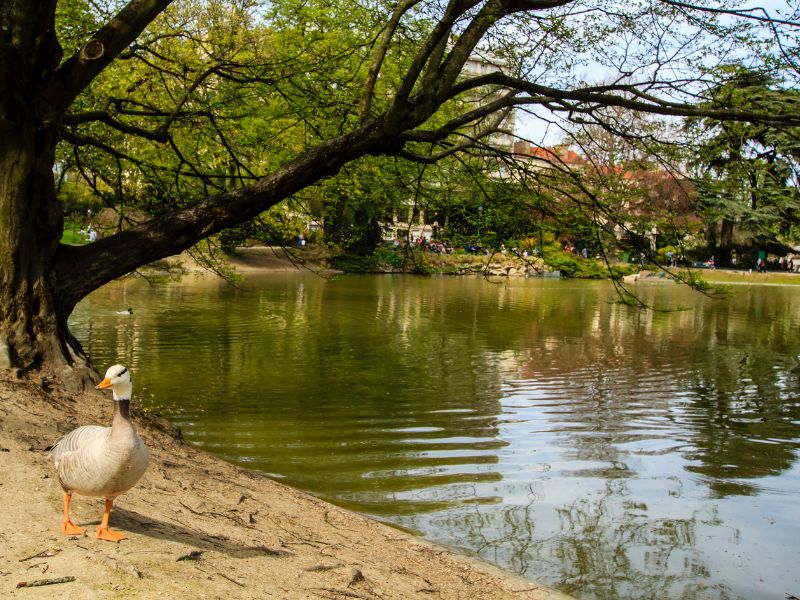 Parc Montsouris