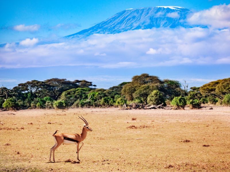 Mount Kilimanjaro