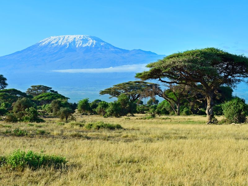 A Safari Journey Through Tanzania's Unmatched Beauty