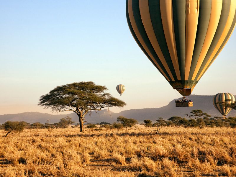 A Safari Journey Through Tanzania's Unmatched Beauty