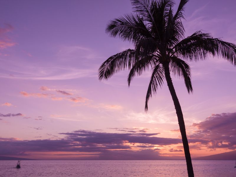 Top Tips for a Stress-Free Vacation in Maui