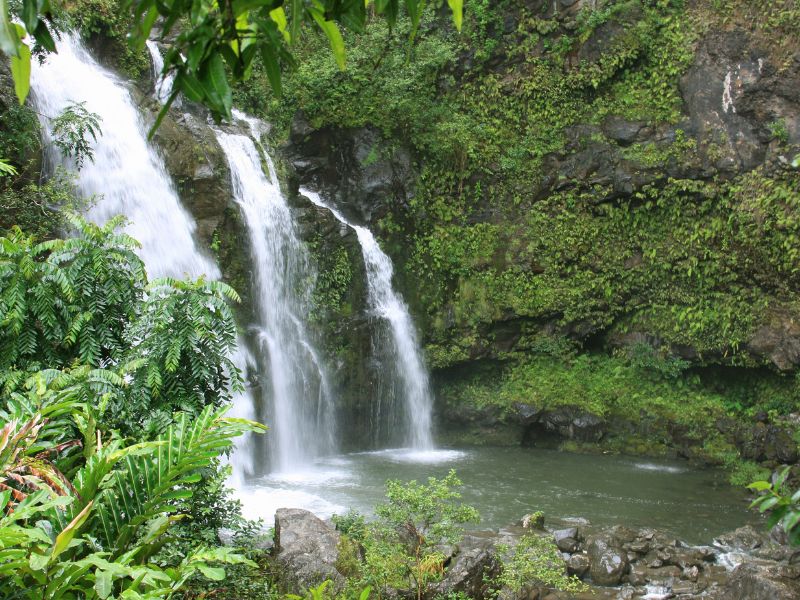 Maui Waterfall