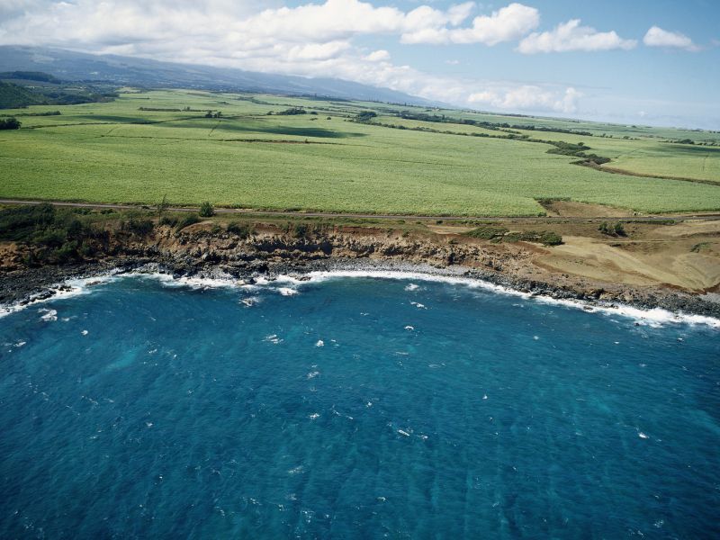 Top Tips for a Stress-Free Vacation in Maui