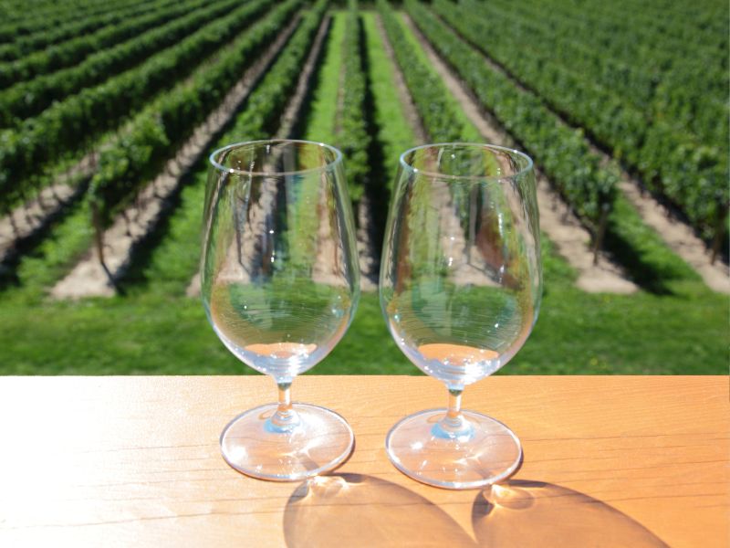 Wine Tasting Etiquette: Tips for Enjoying Your Visit