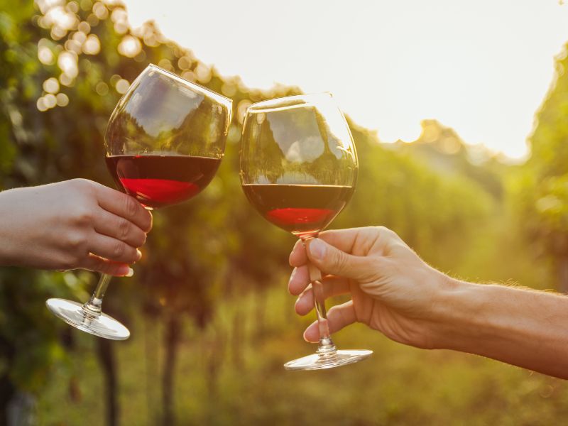 Wine Tasting Etiquette: Tips for Enjoying Your Visit