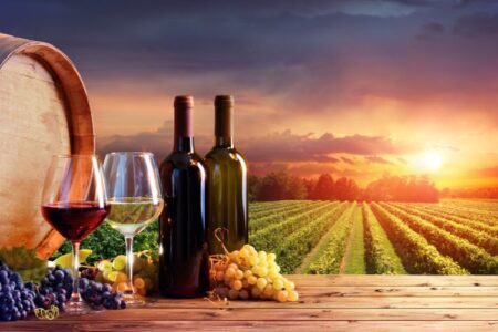 Wine Tasting Etiquette: Tips for Enjoying Your Visit