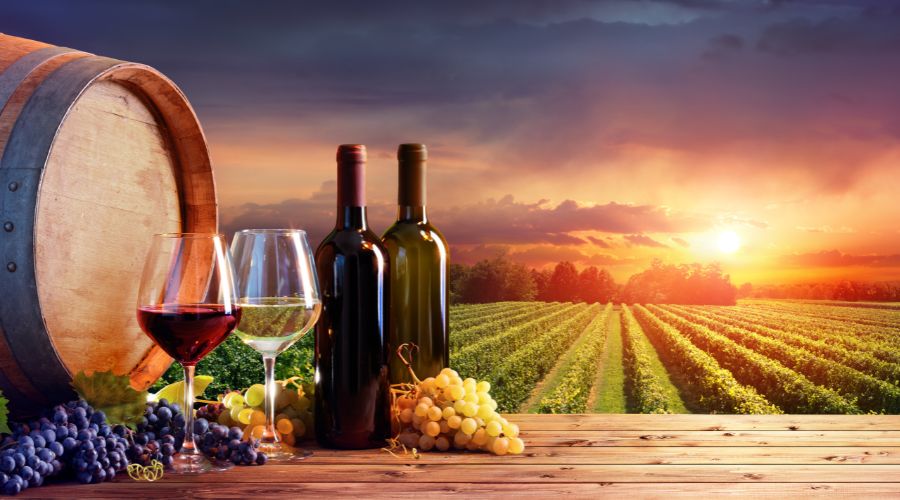 Wine Tasting Etiquette: Tips for Enjoying Your Visit