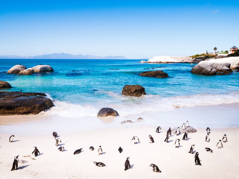 Boulders Beach