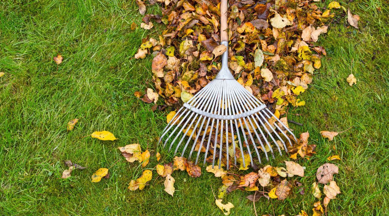 Raking Autumn Leaves