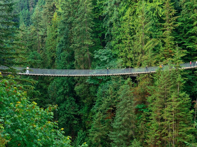 Capilano Suspension Bridge, Vancouver