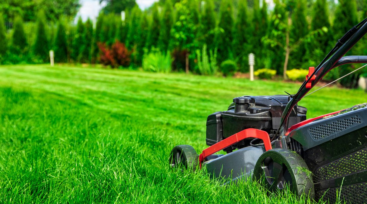 Easy Lawn Care: Tips for Busy Homeowners include mulching