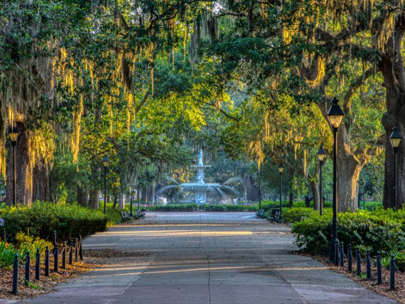 Spanish Moss Savannah