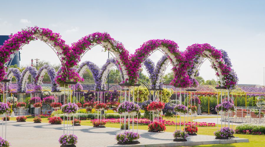 Dubai Miracle Garden 