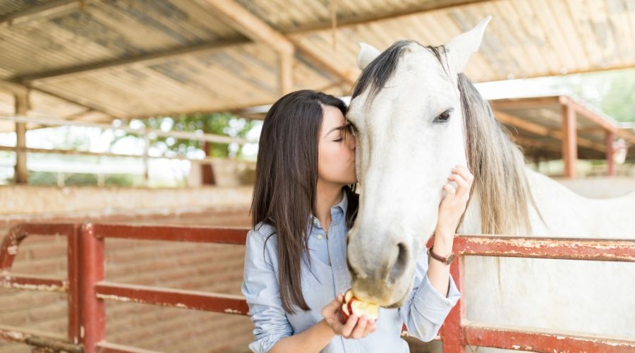 Equine Therapy