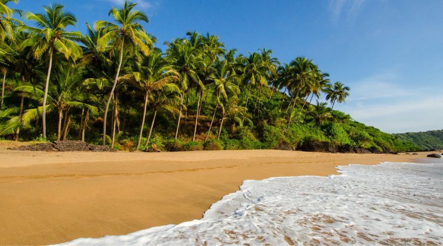 Goa is one of The Ten Best Places to celebrate New Year 2025.