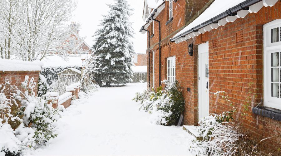 Snow on driveway