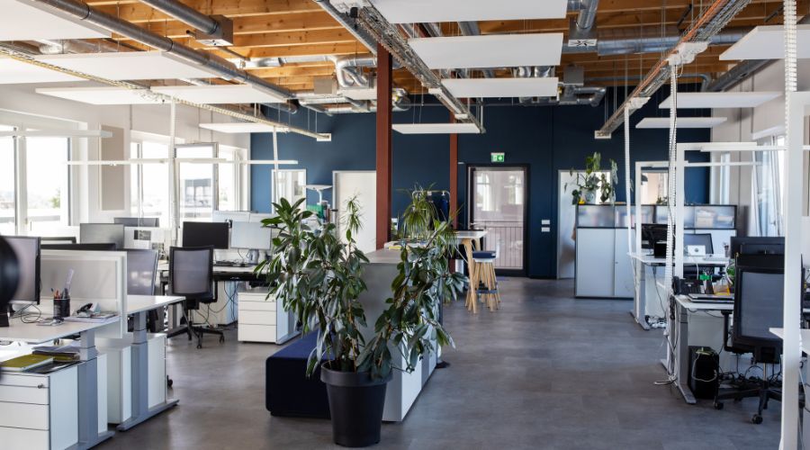 A Guide to Creating an Open Plan Office – Boost Productivity